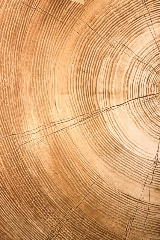Имитация спила древесины – это высший пилотаж в искусстве нанесения декоративной штукатурки